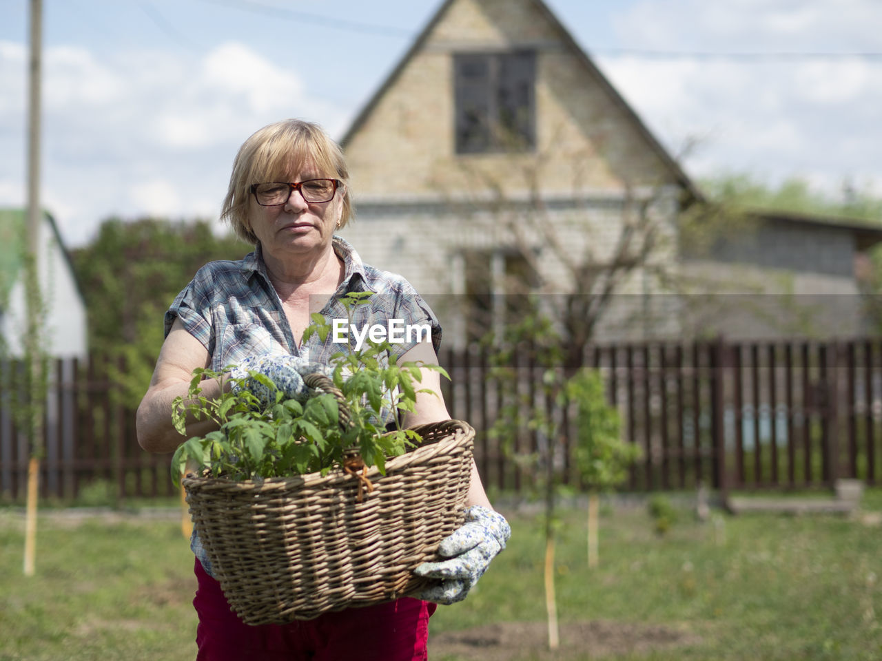 Senior caucasian woman holding a basket with tomato seedlings in the garden of a country house