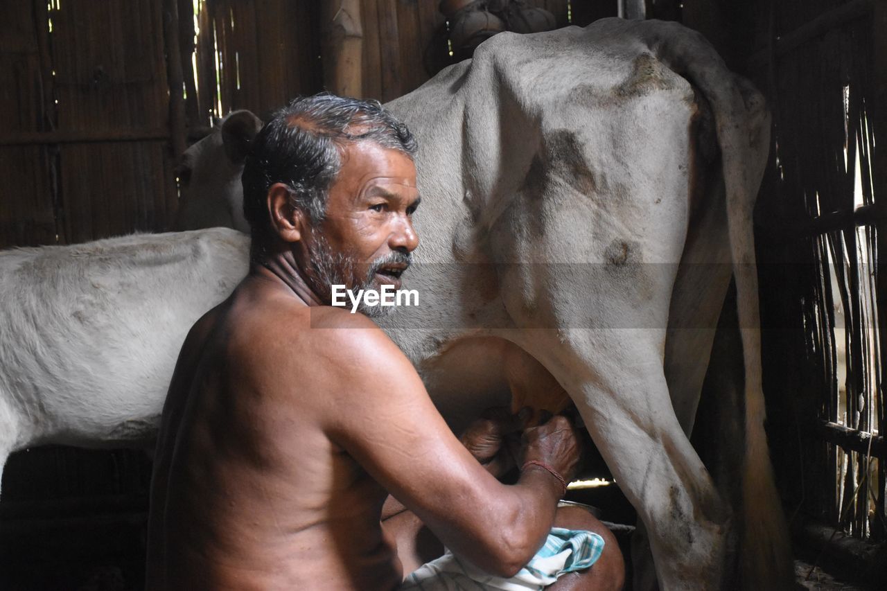 Midsection of shirtless man in stable