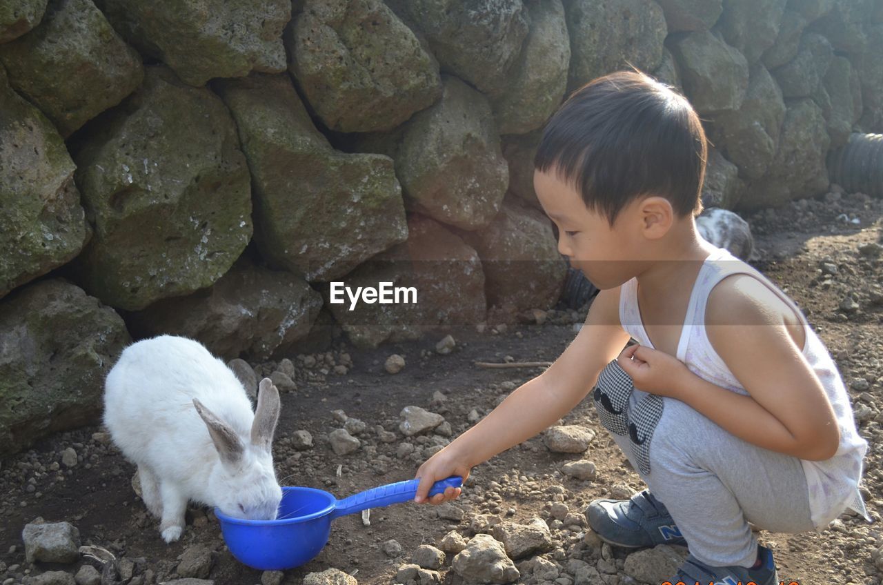 Boy feeding rabbit on ground