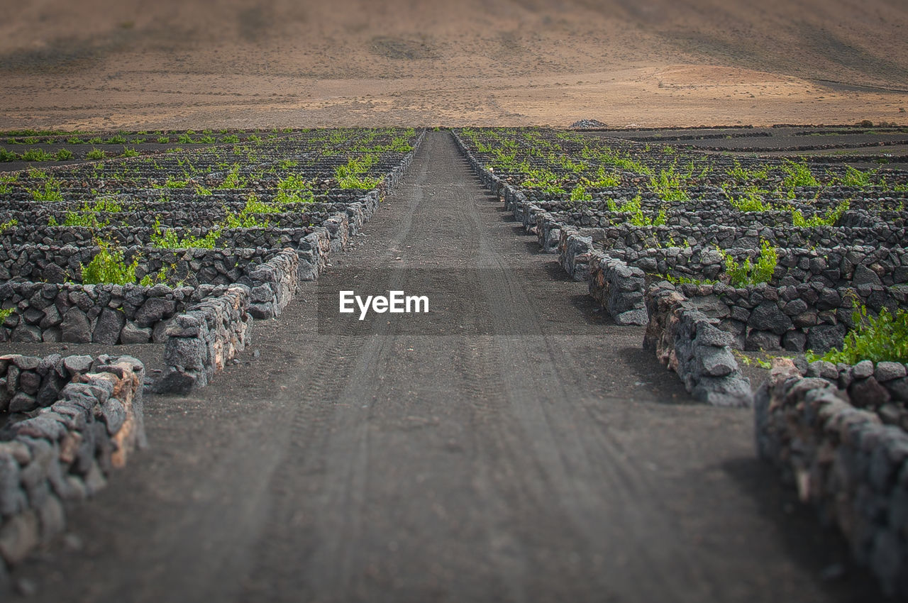 DIRT ROAD PASSING THROUGH A LAND