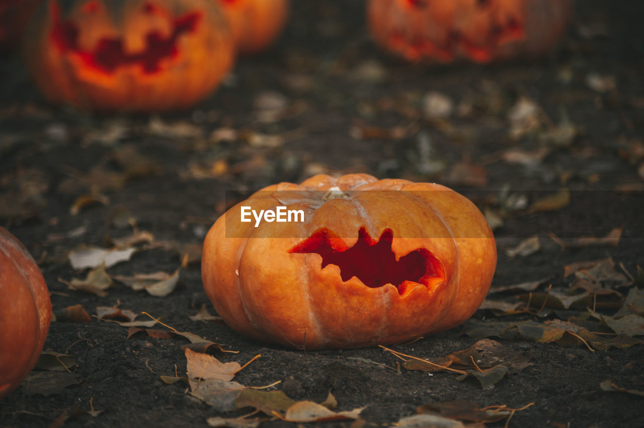 Jack o lantern on pumpkin