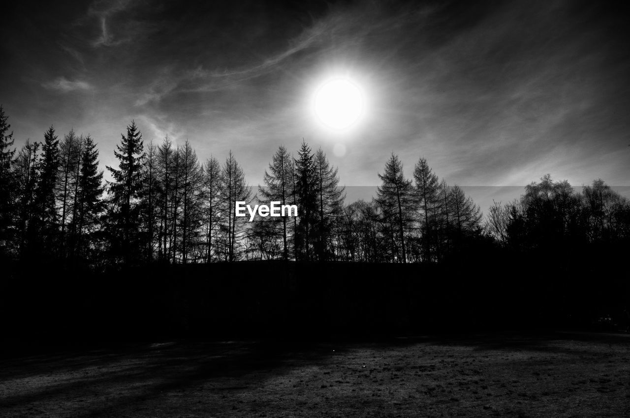 Silhouette trees against sky at night