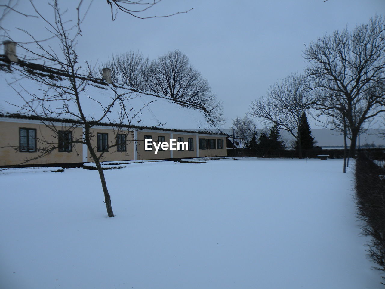 SNOW COVERED HOUSES AND TREES AGAINST SKY