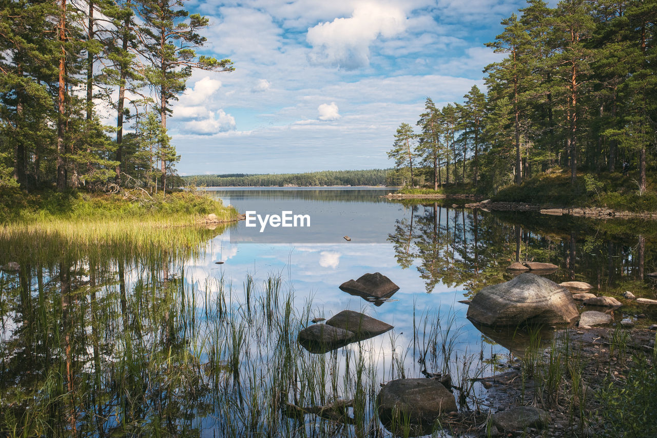 SCENIC VIEW OF LAKE AGAINST SKY IN FOREST