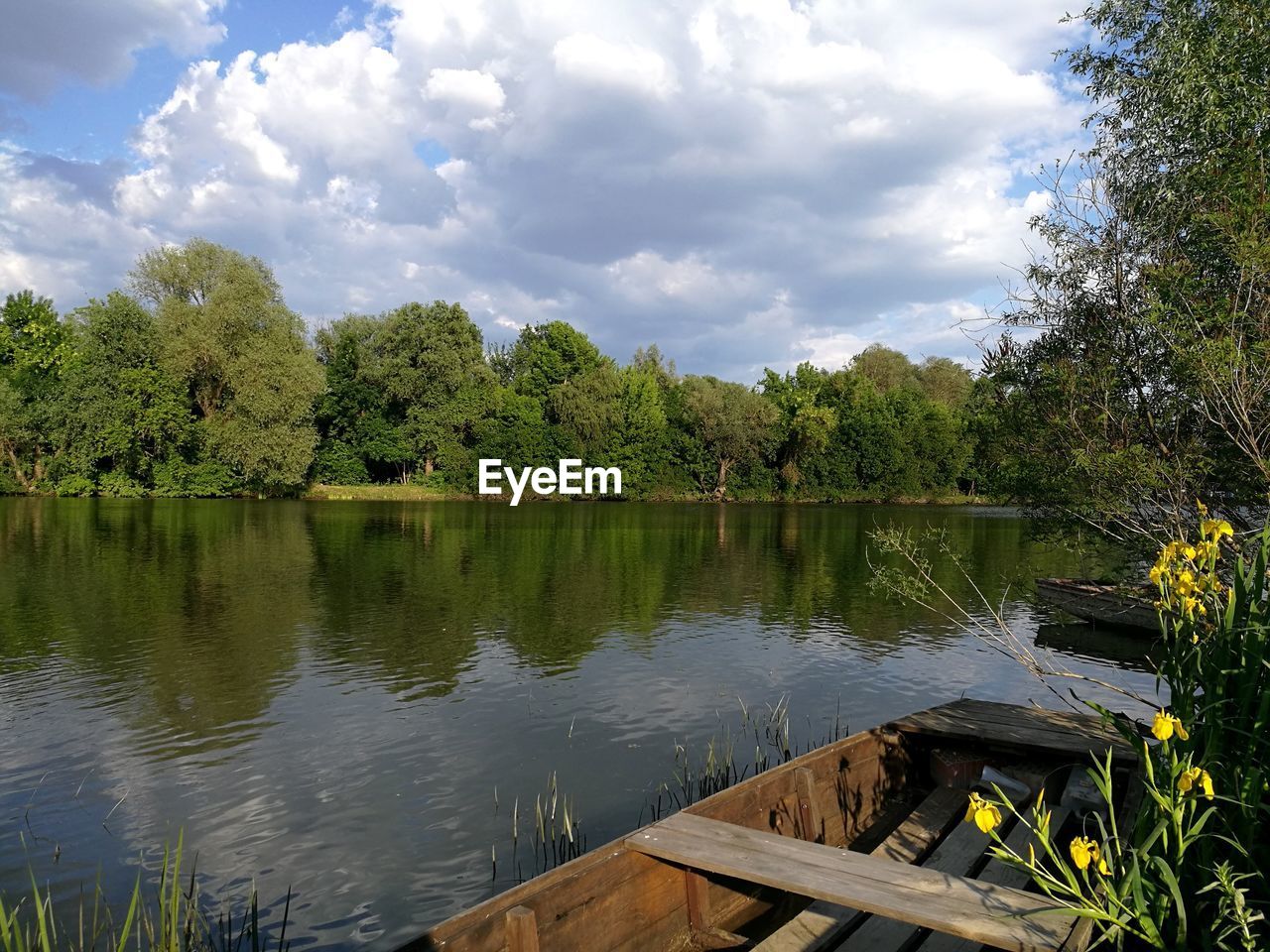 TREES BY LAKE AGAINST SKY