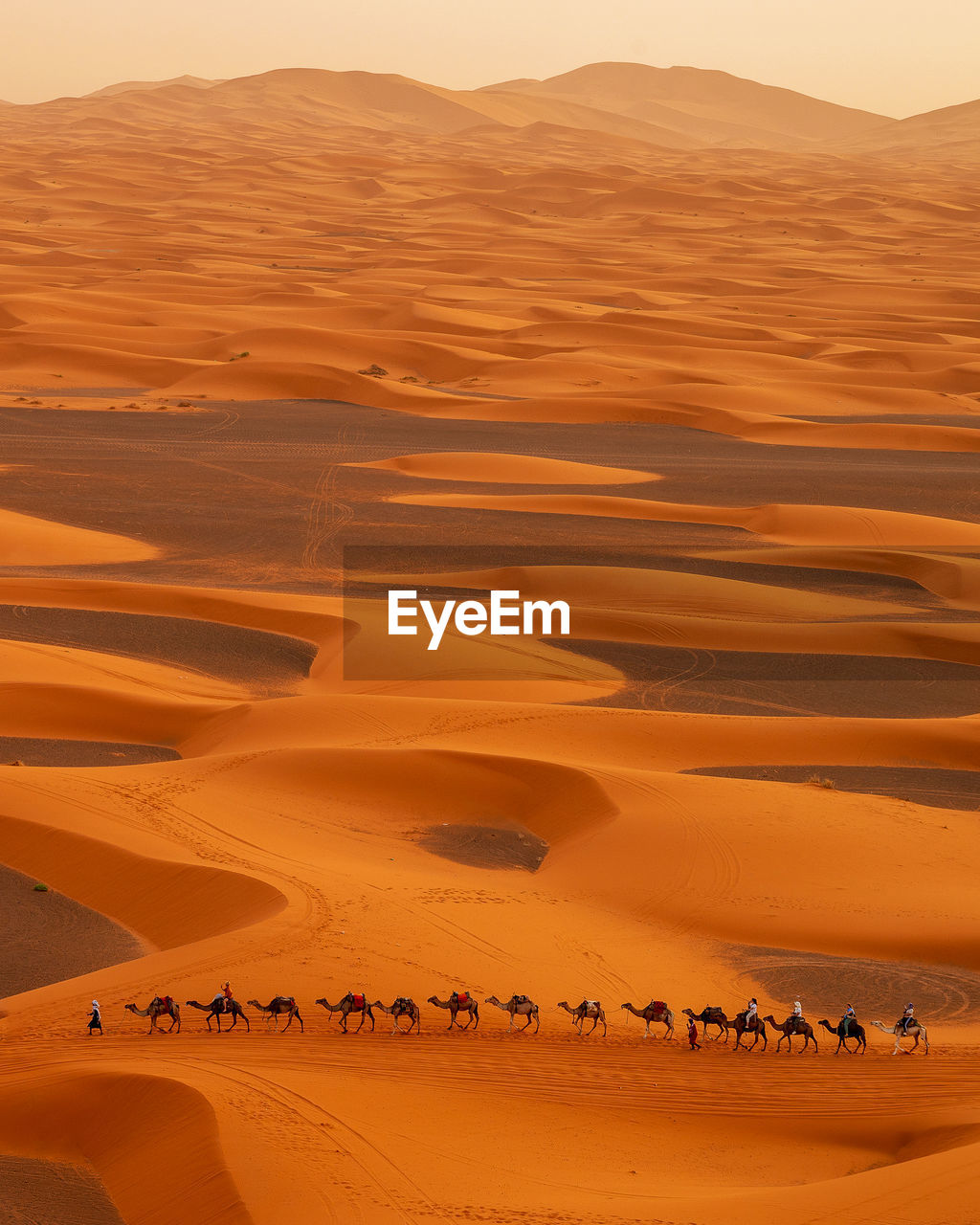scenic view of desert during sunset