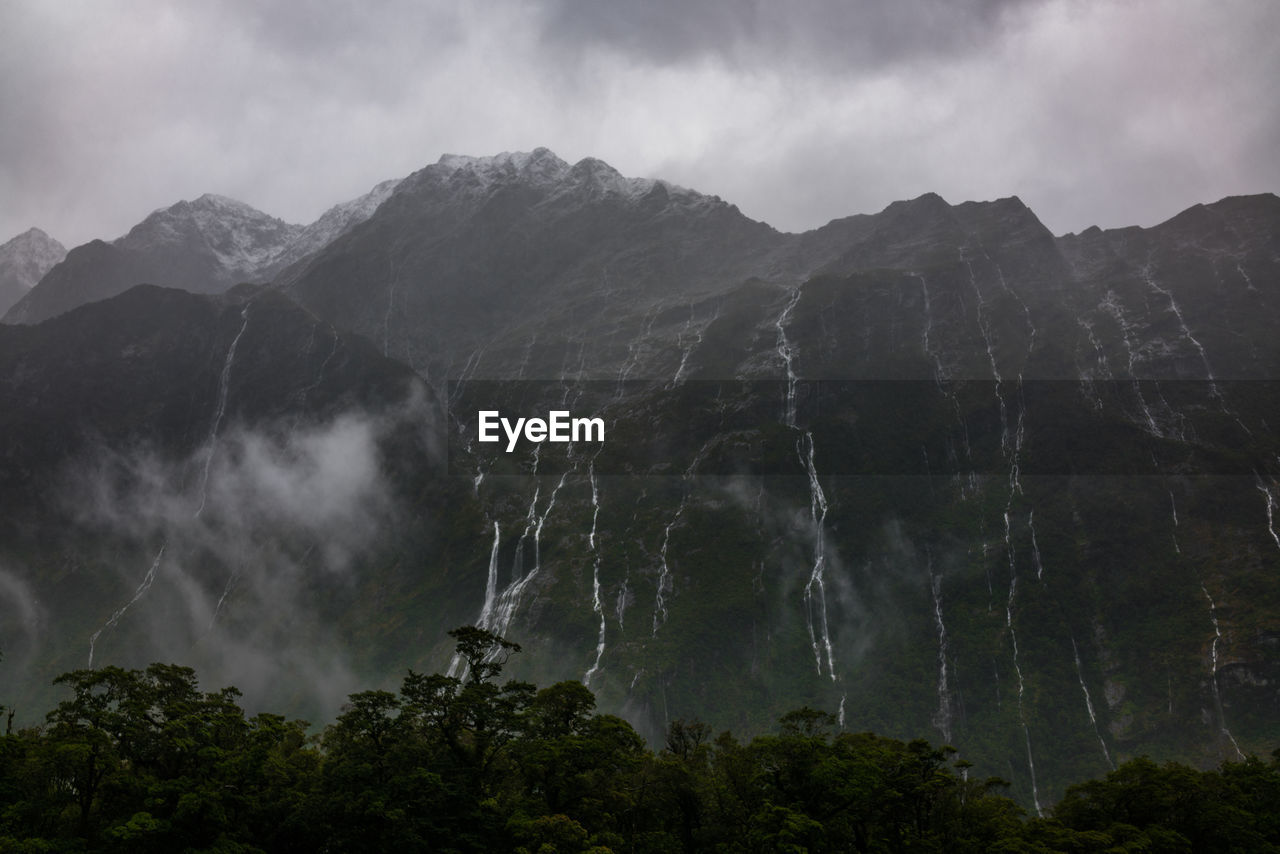 Low angle view of trees in mountains against sky