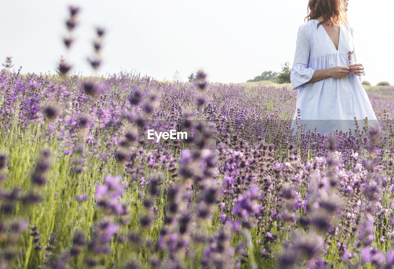 Close-up of woman at flowering plants on field