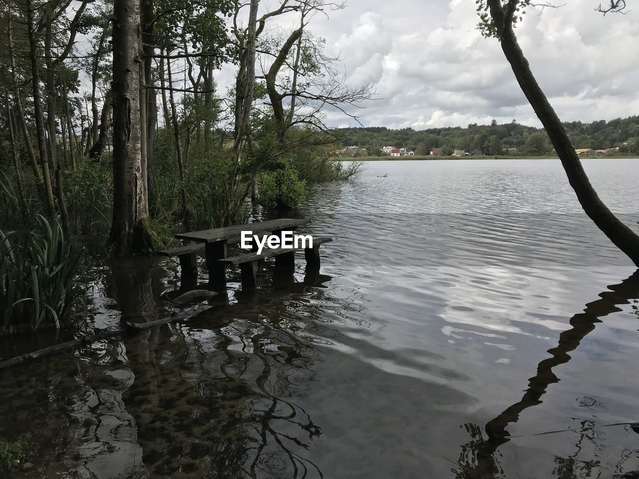 SCENIC VIEW OF LAKE IN FOREST