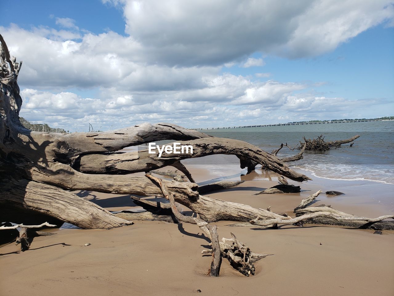 Driftwood on beach against sky