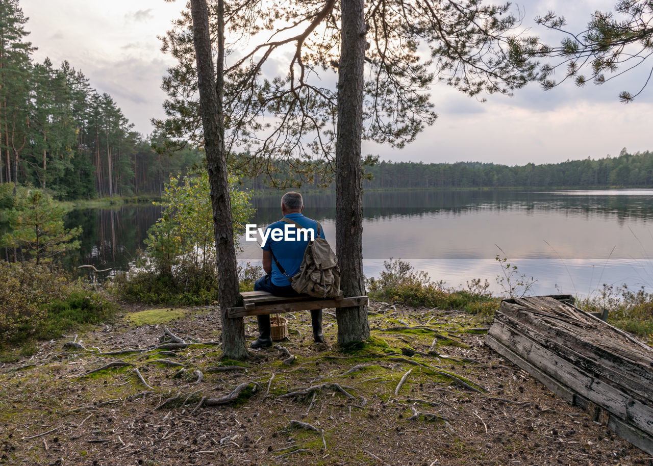 rear view of woman sitting on wooden bench in forest