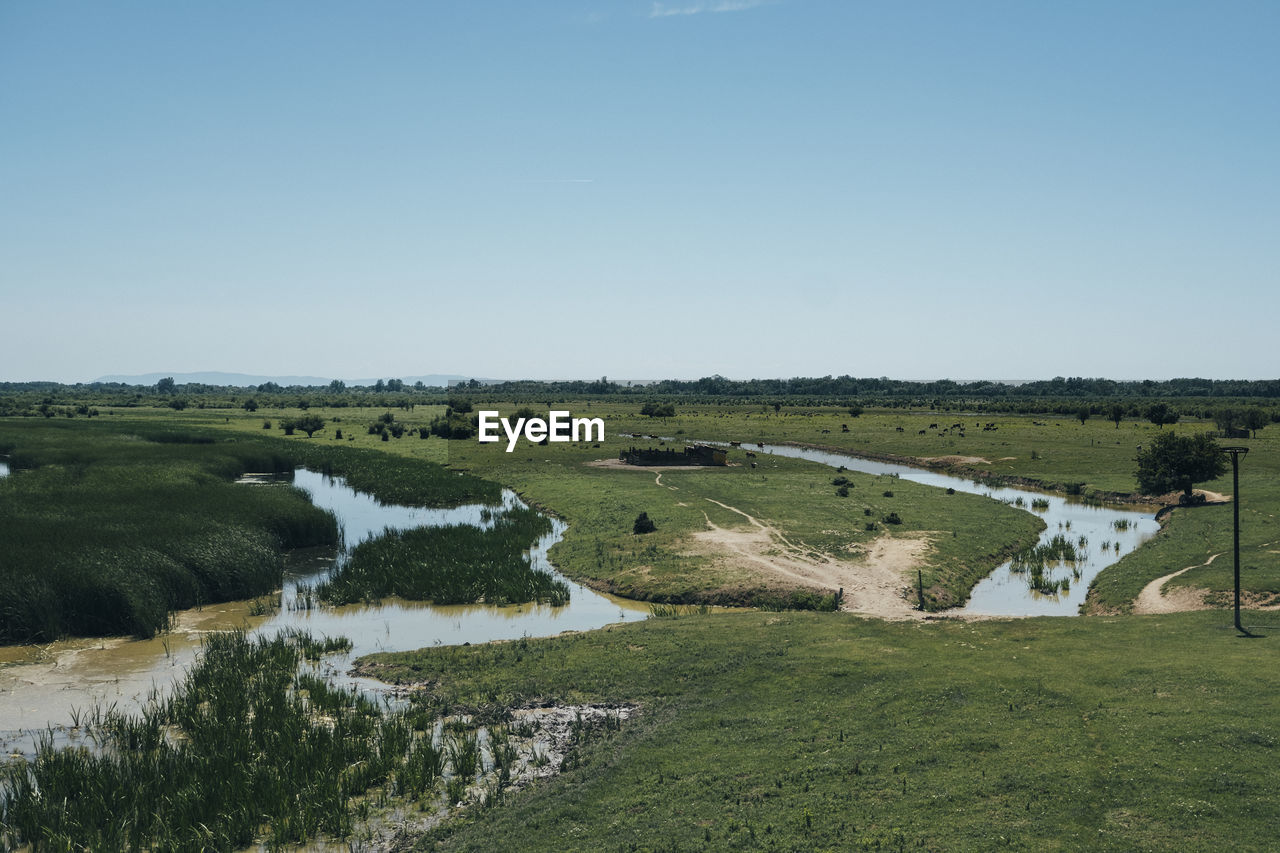 Scenic view of landscape against clear sky