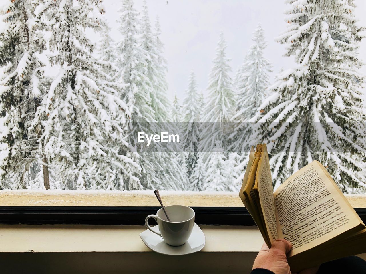 Hand holding a book with a white cup placed on plate near a window through which you can see  forest
