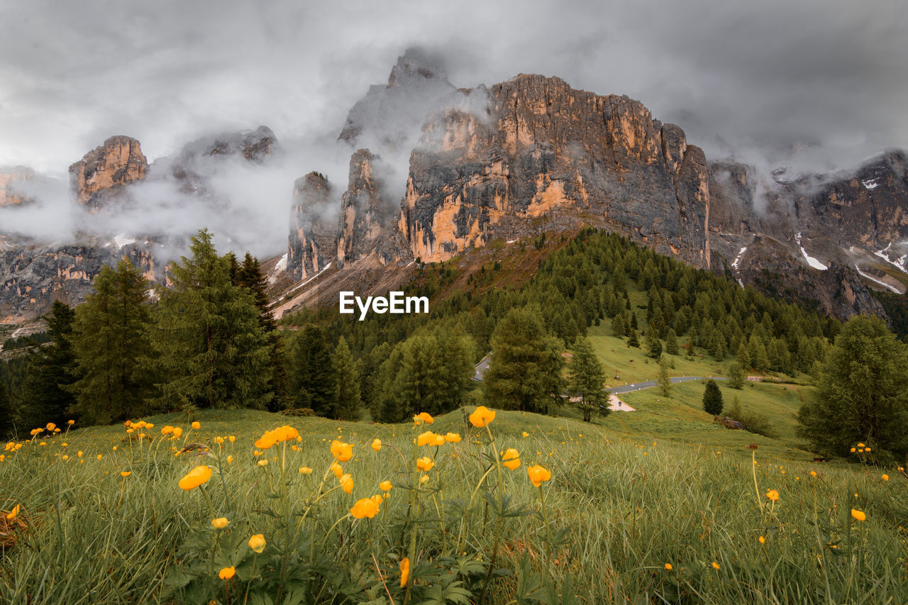 Clouds in the dolomites