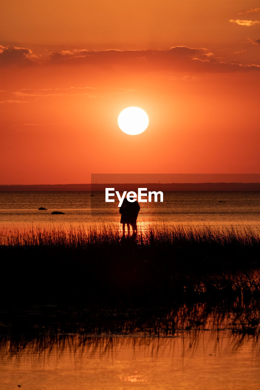 SILHOUETTE OF HORSE ON BEACH AGAINST ORANGE SKY