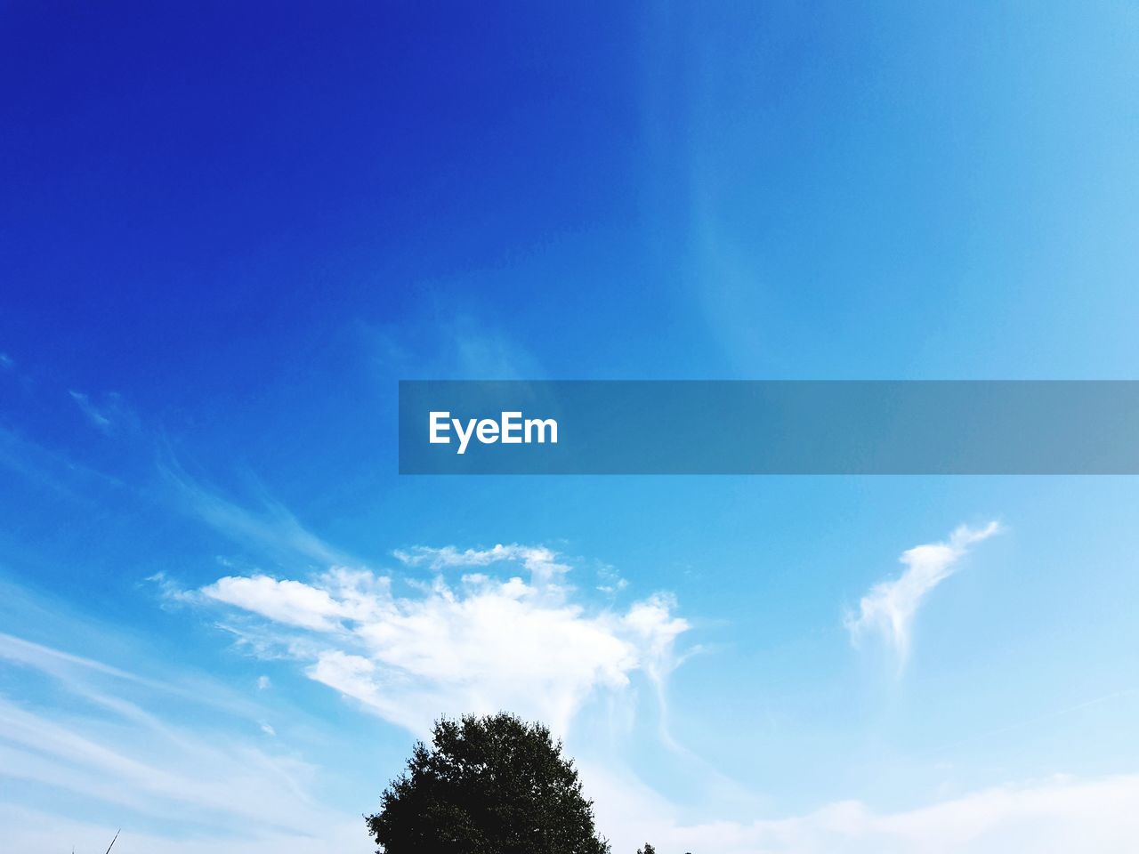 LOW ANGLE VIEW OF SILHOUETTE TREES AGAINST BLUE SKY