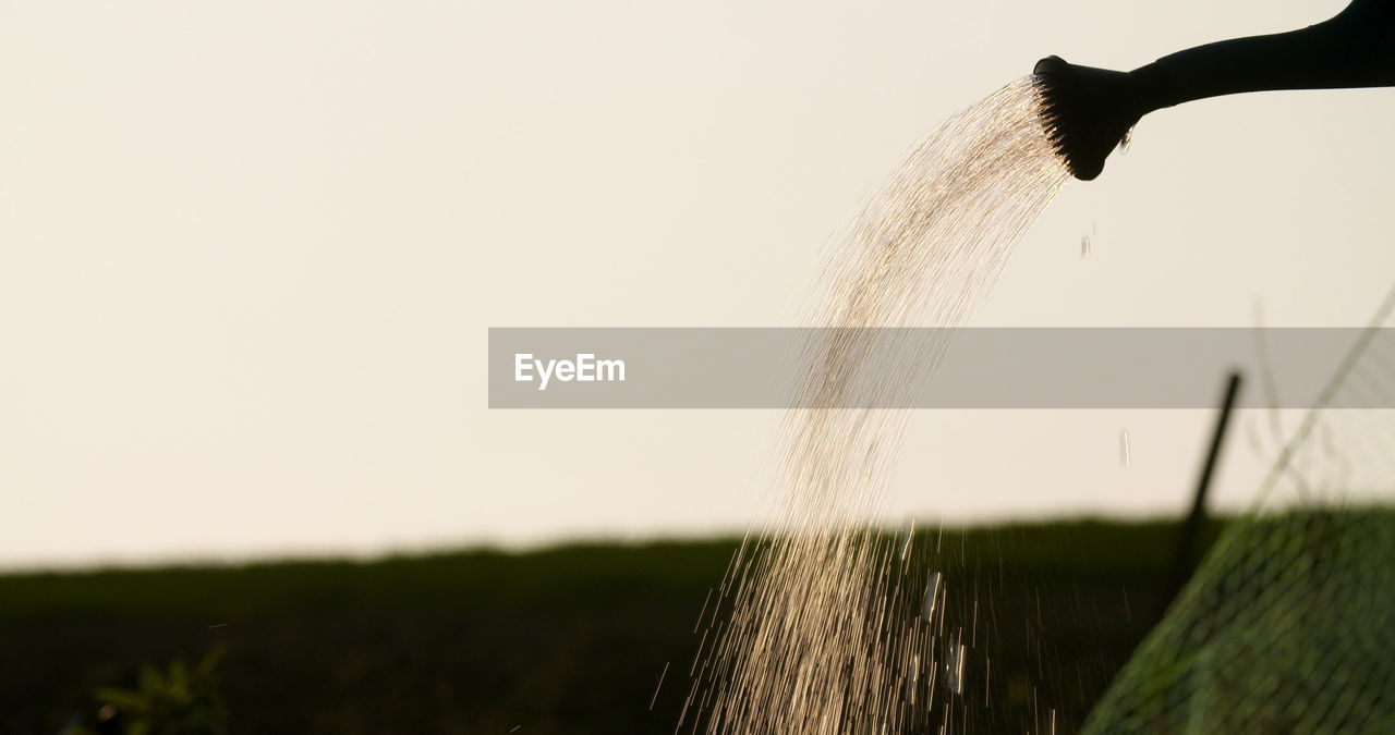 grass, nature, water, plant, sky, green, motion, cereal plant, agriculture, crop, morning, focus on foreground, no people, field, tree, day, sunlight, rural scene, outdoors, leaf, copy space, landscape, flower, bird, close-up, splashing, light