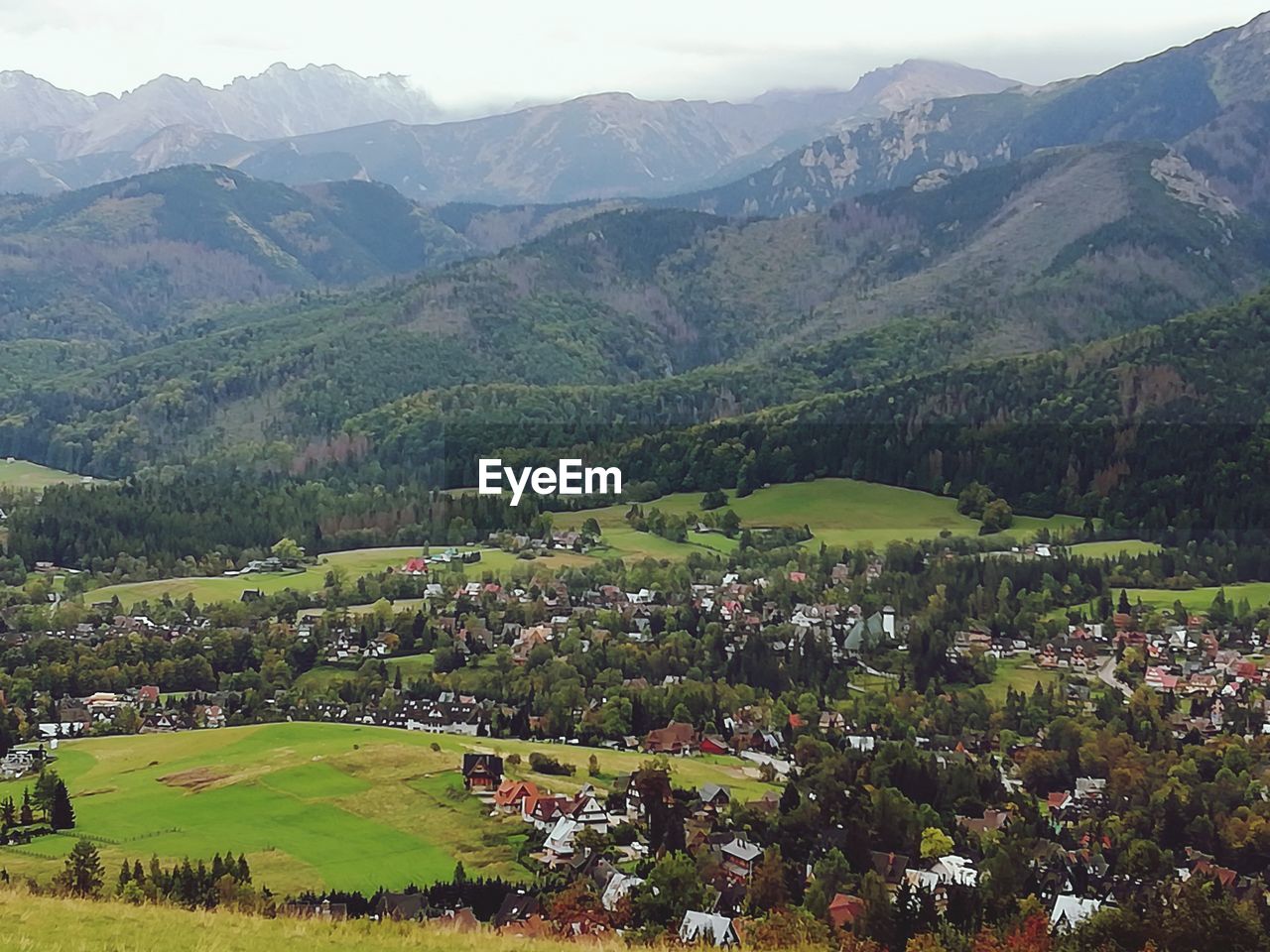 HIGH ANGLE VIEW OF GREEN LANDSCAPE