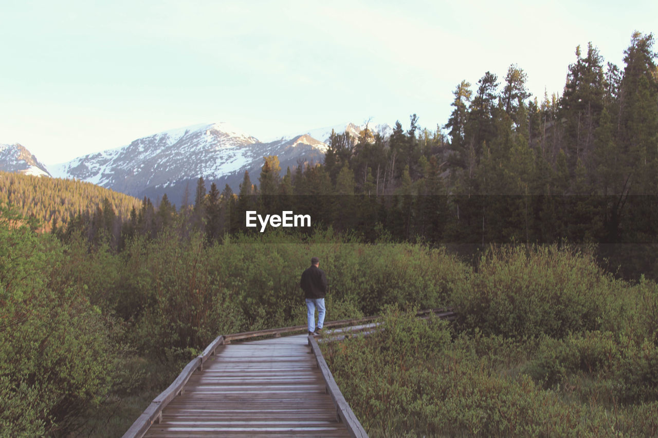 Rear view of man walking on boardwalk in forest