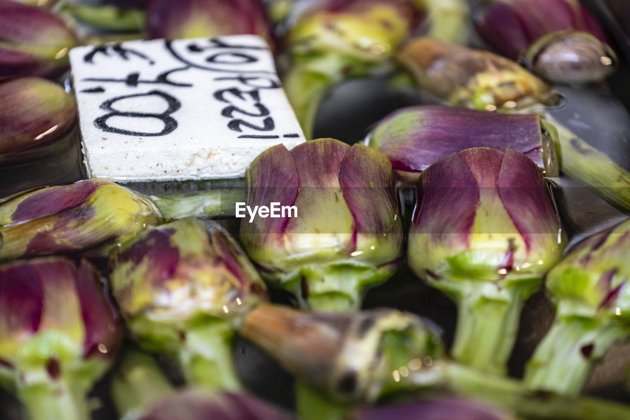 food and drink, food, freshness, healthy eating, vegetable, wellbeing, market, no people, plant, produce, artichoke, organic, raw food, close-up, retail, abundance, eggplant, market stall, selective focus, farmer's market, flower, large group of objects, price tag, business finance and industry, business, purple, text, still life, for sale, onion, indoors