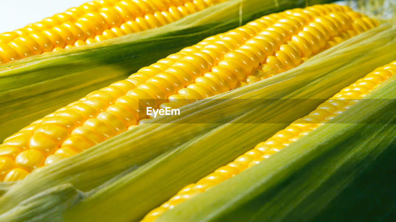 vegetable, food, corn kernels, food and drink, sweet corn, corn, food grain, freshness, healthy eating, agriculture, crop, wellbeing, cereal plant, yellow, no people, produce, green, dish, close-up, nature, plant, raw food, organic