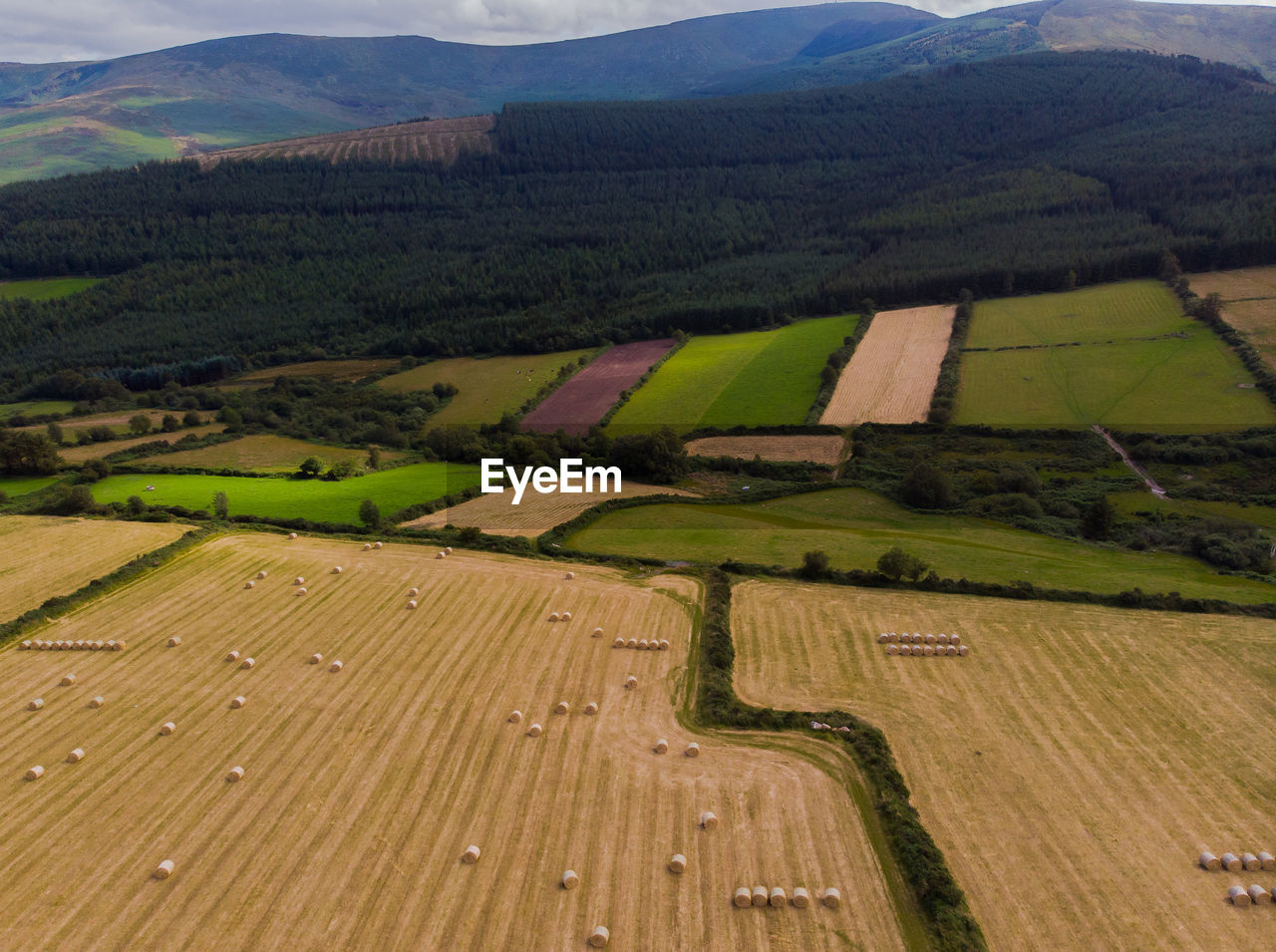 High angle view of agricultural field