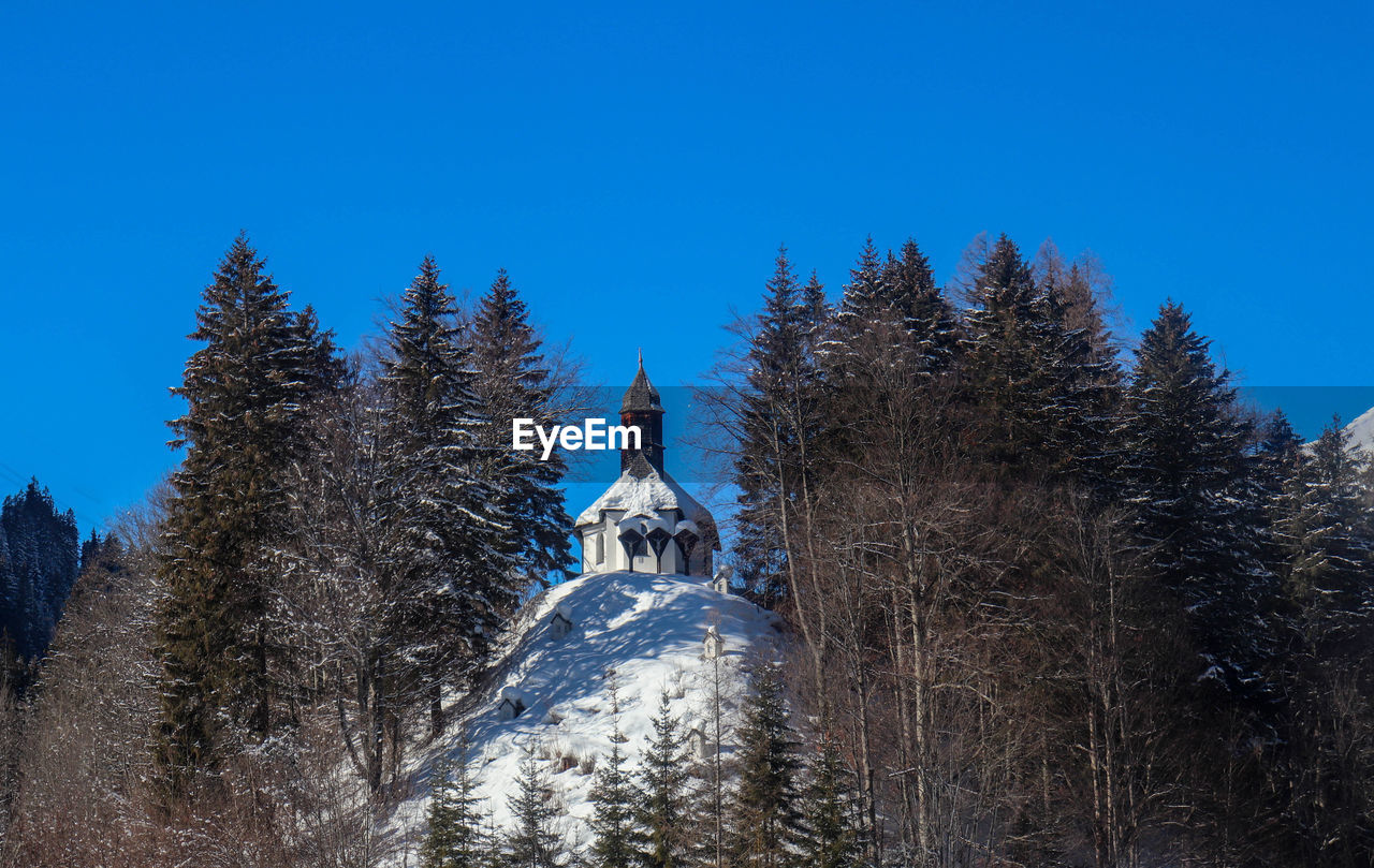 LOW ANGLE VIEW OF CROSS AMIDST TREES AGAINST BLUE SKY