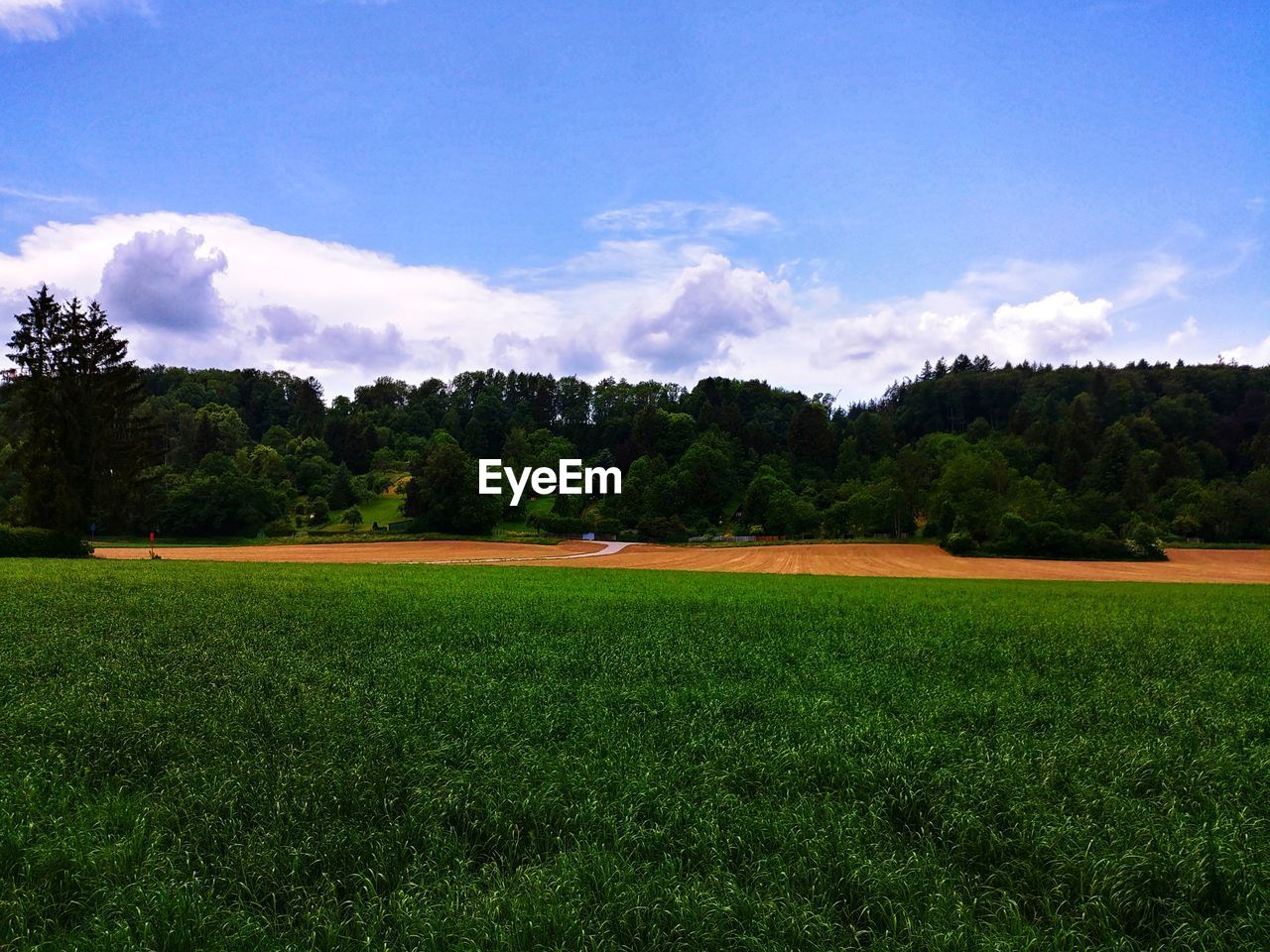 SCENIC VIEW OF LAND AGAINST SKY