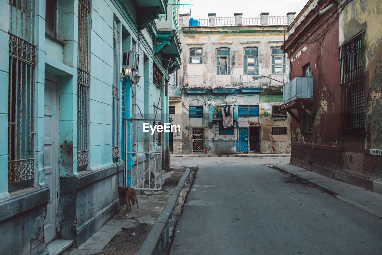 VIEW OF BUILDINGS IN CITY