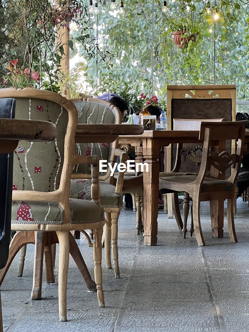 no people, plant, day, wood, nature, iron, outdoors