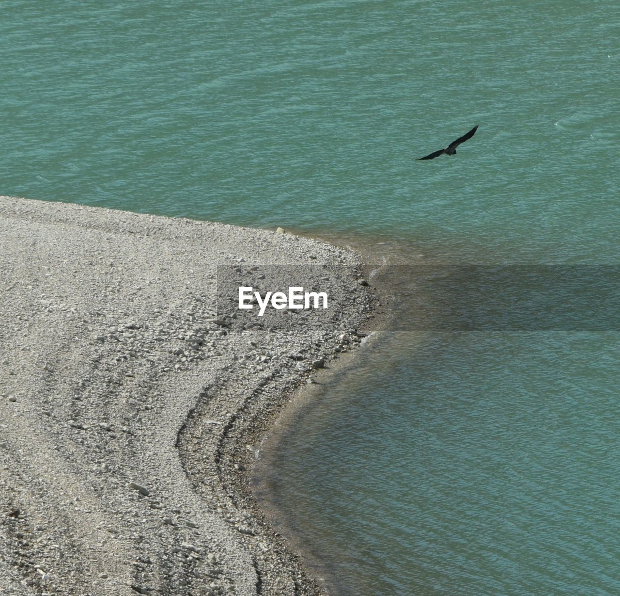 HIGH ANGLE VIEW OF BIRDS FLYING OVER BEACH