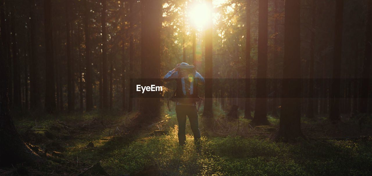 Man in forest at sunset