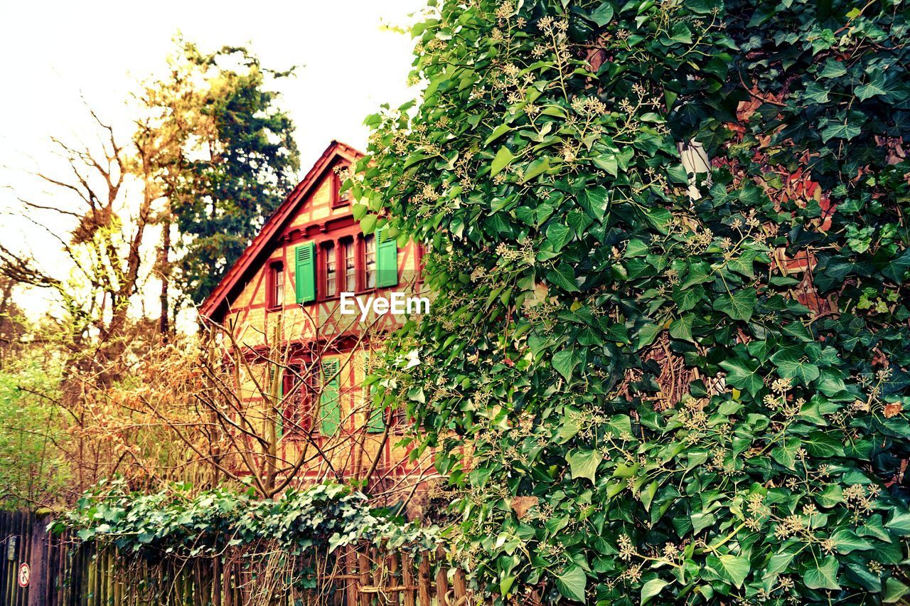 Trees by house against sky