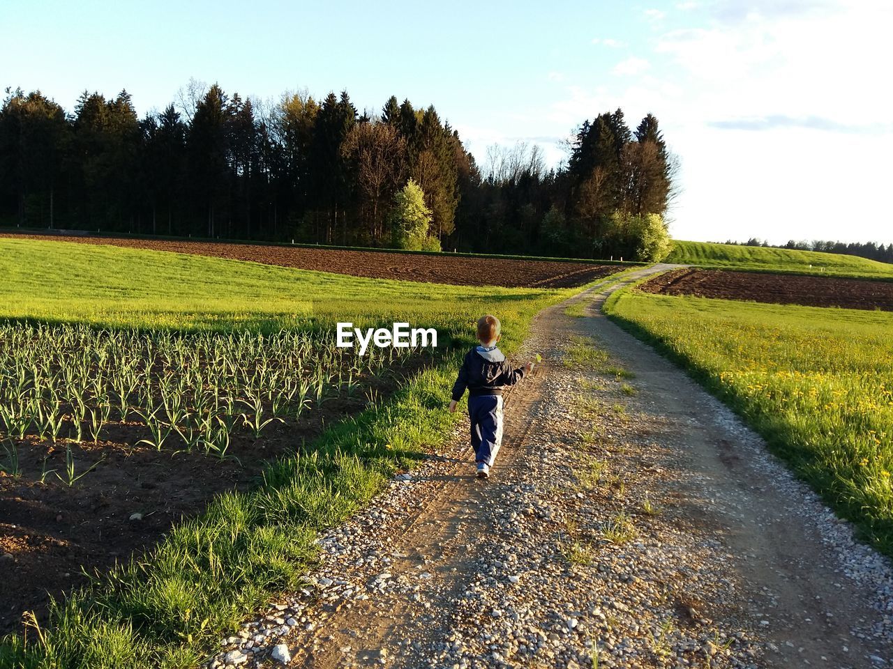 Rear view of boy walking on dirt road