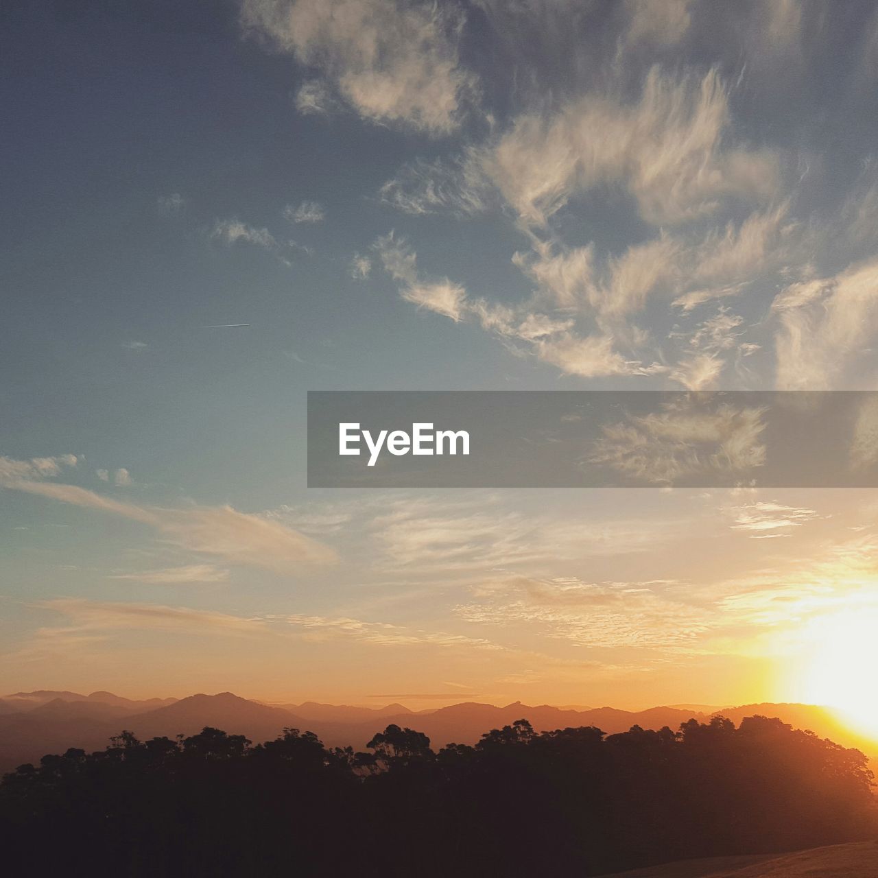 Low angle view of silhouette trees against sky during sunset