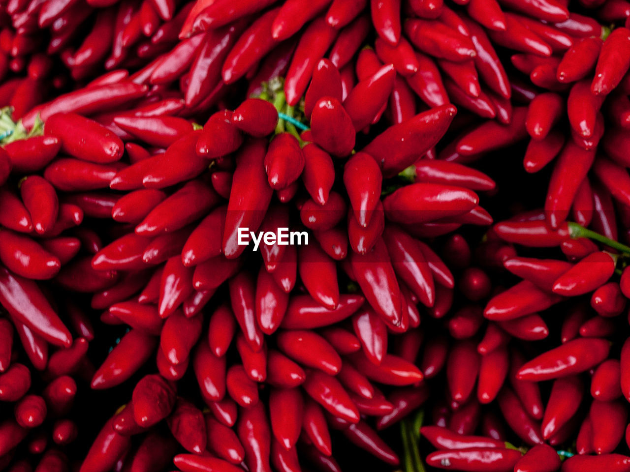 Full frame of red pepper