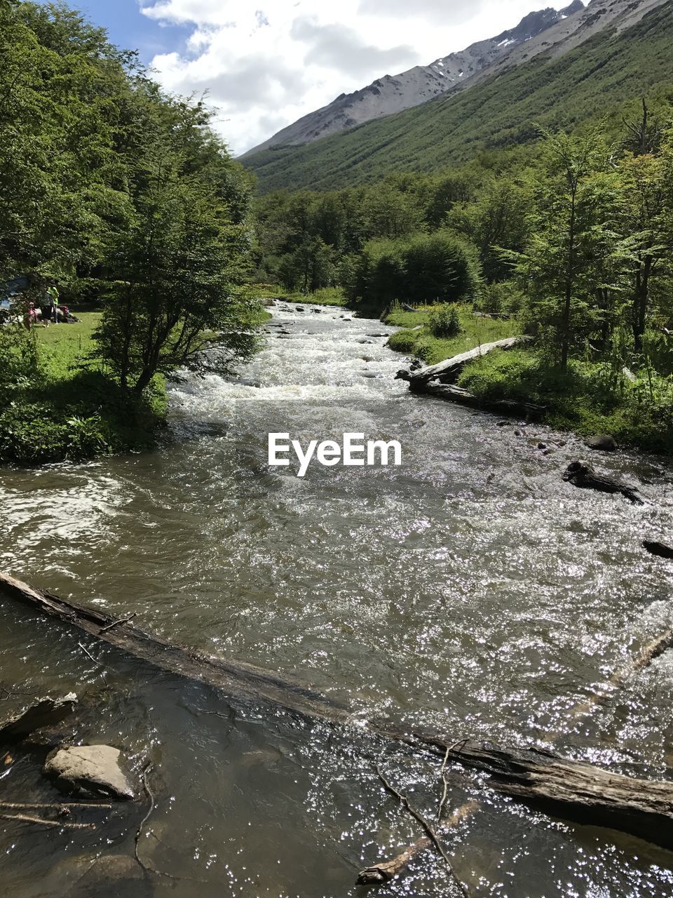 RIVER AMIDST TREES AGAINST SKY