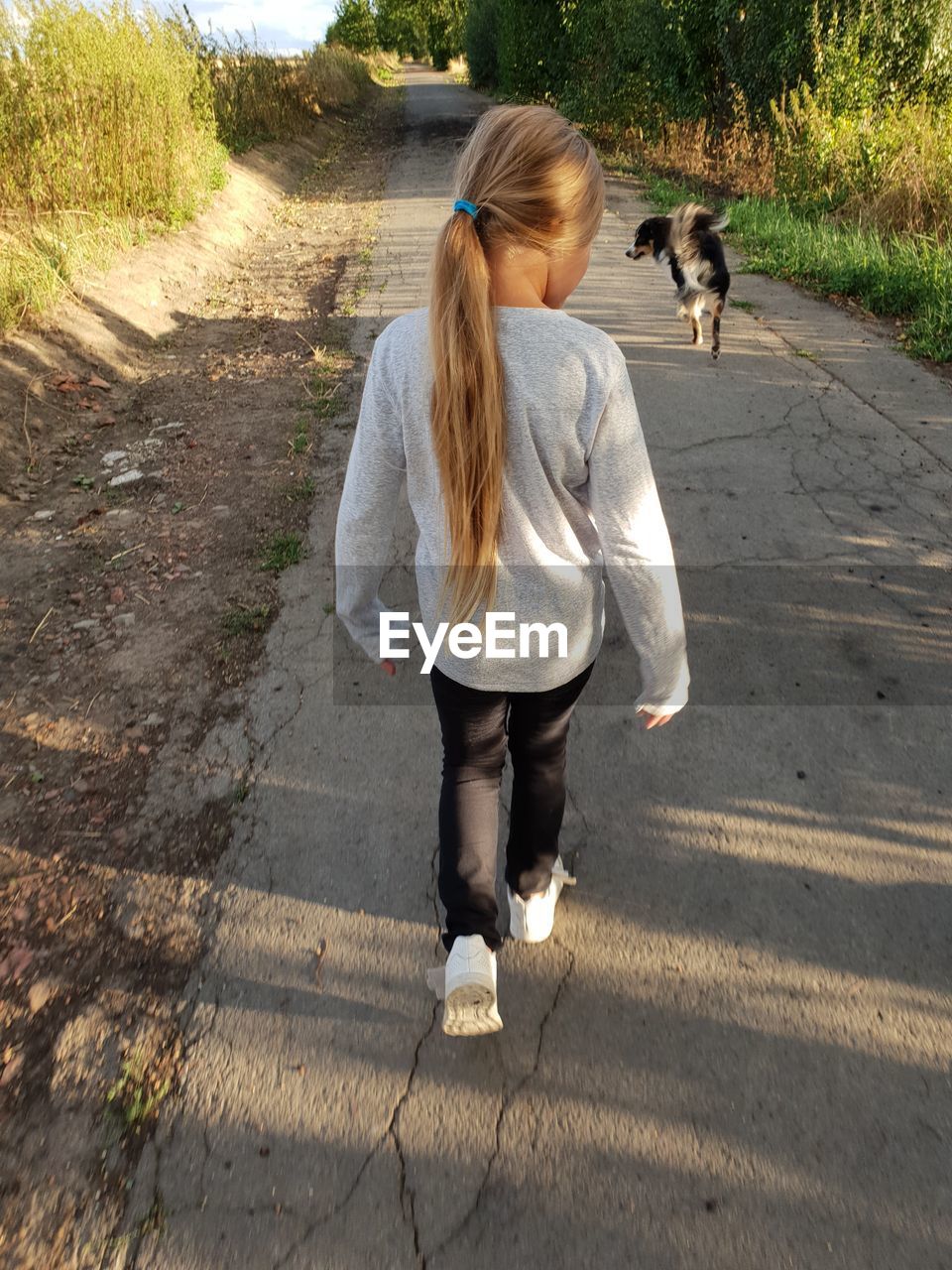 Rear view of girl with dog walking on footpath