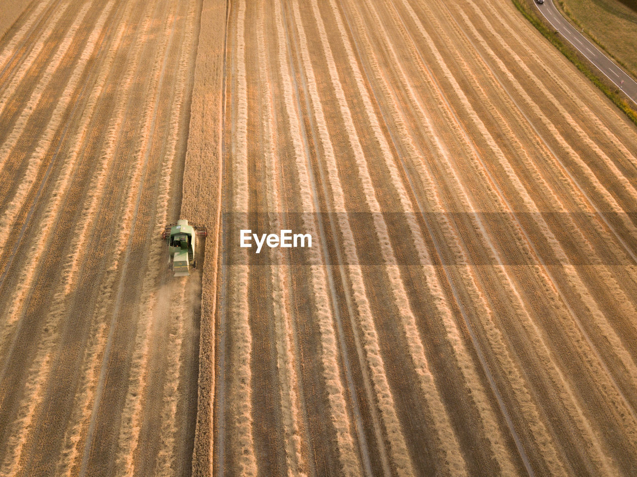 HIGH ANGLE VIEW OF CROPS ON FIELD AGAINST LAND