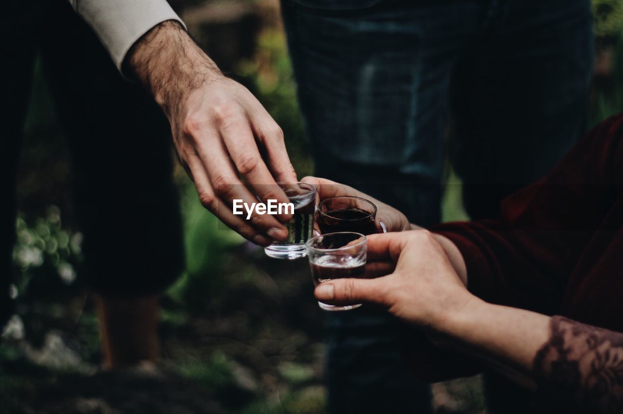 Friends toasting drinking glasses