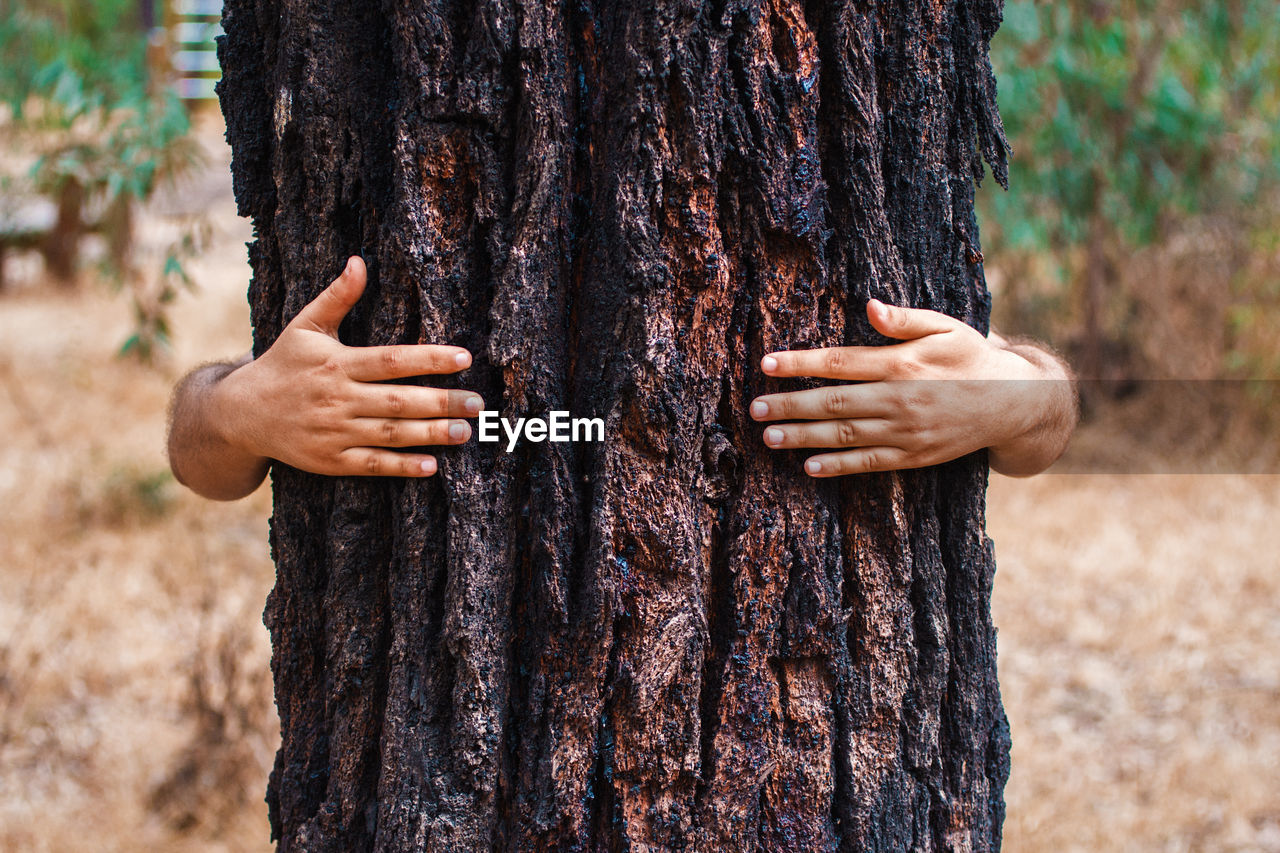 Cropped hands of man embracing tree