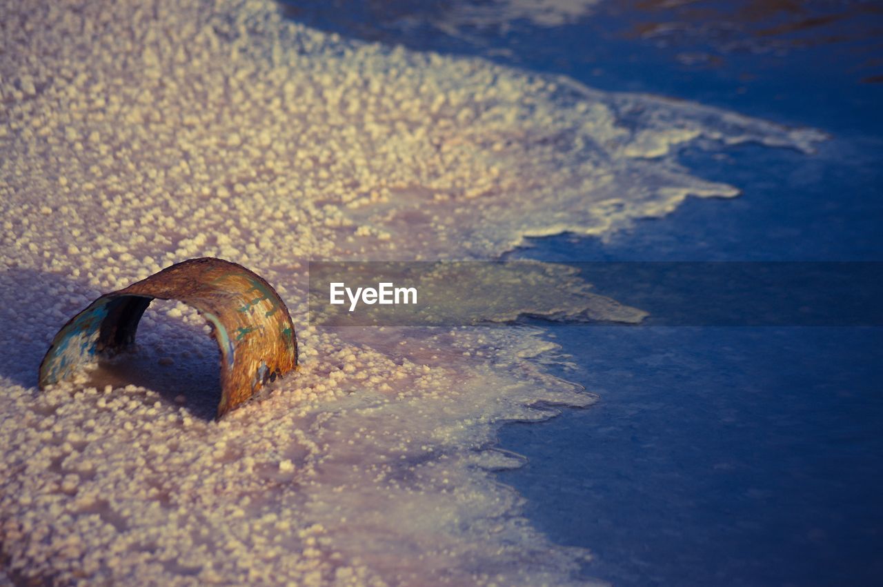 CLOSE-UP OF CRAB IN WATER