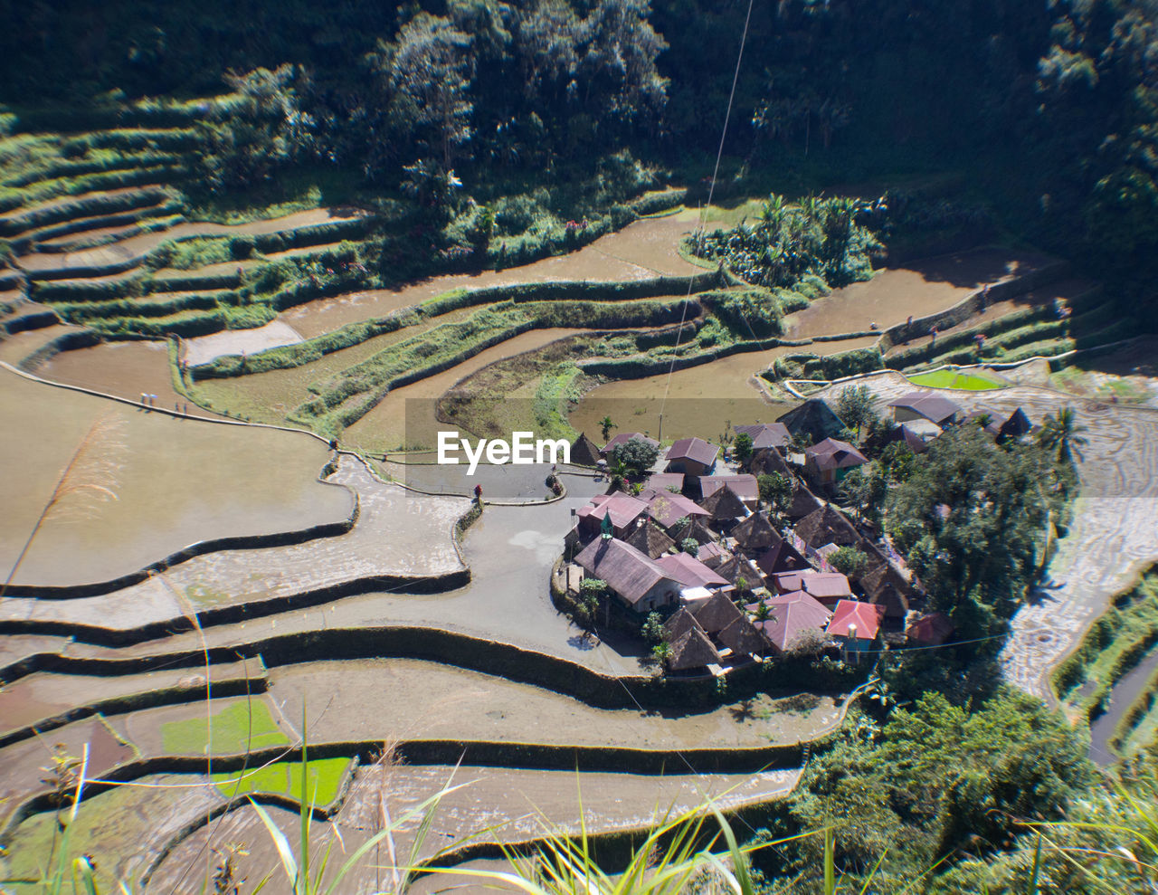 HIGH ANGLE VIEW OF FARM