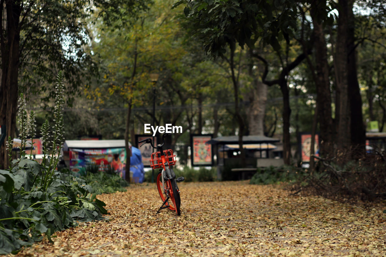 PEOPLE IN PARK AT FIELD