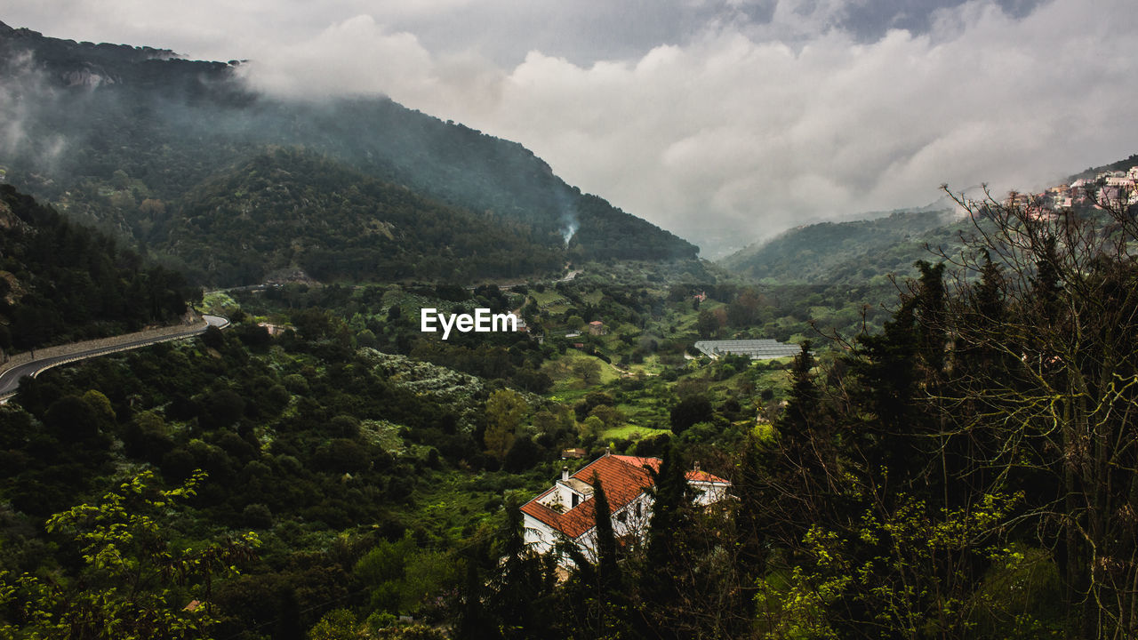 Scenic view of tree mountains against sky