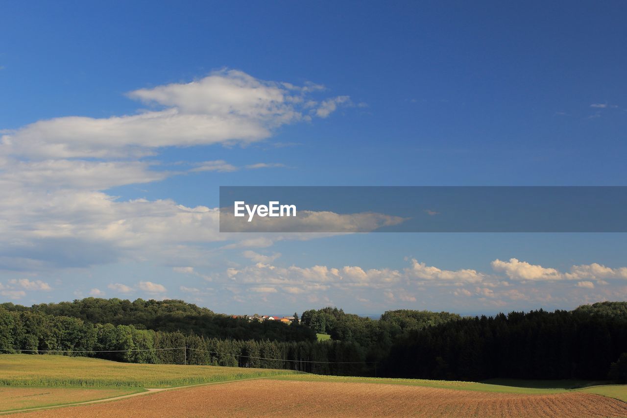 sky, plant, cloud, tree, field, landscape, environment, horizon, grass, nature, land, hill, beauty in nature, rural area, scenics - nature, plain, no people, blue, tranquility, rural scene, prairie, tranquil scene, grassland, agriculture, growth, meadow, day, outdoors, green, non-urban scene