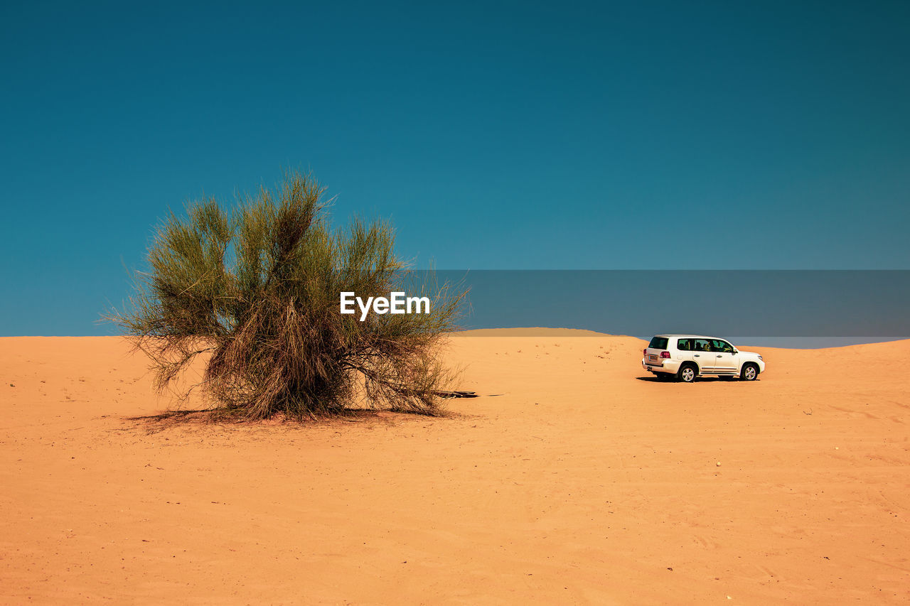 VIEW OF CAR ON DESERT