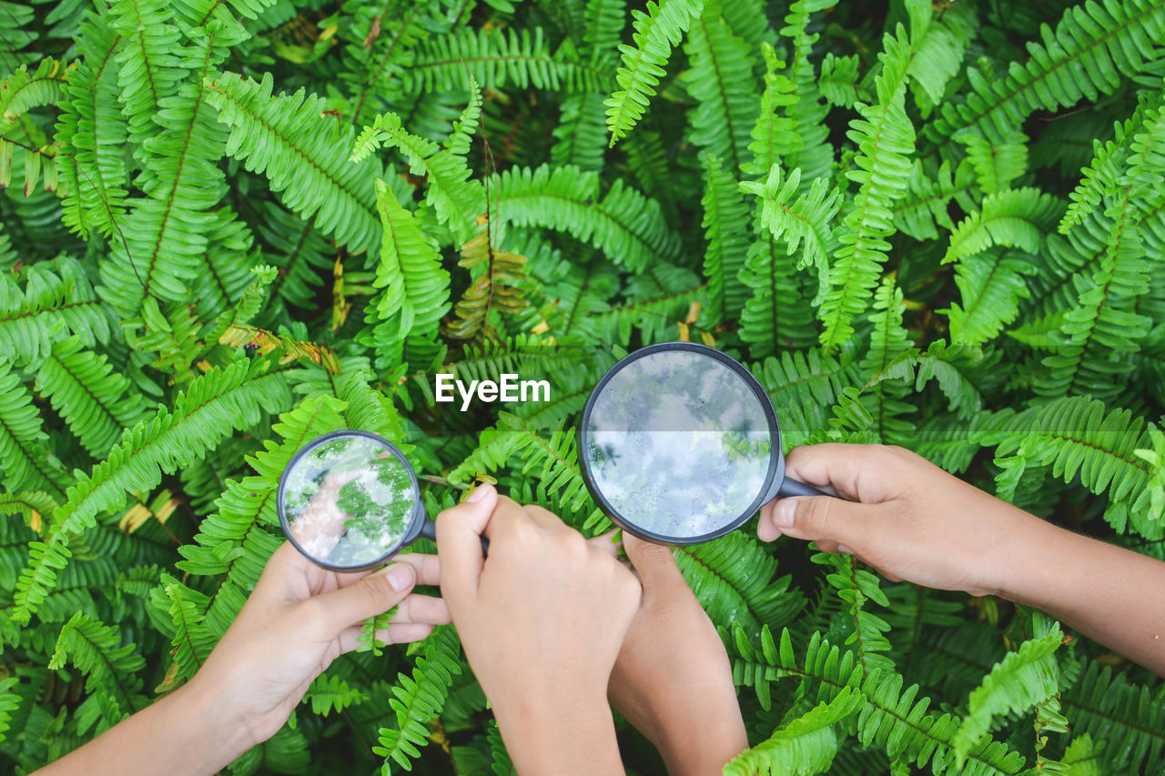 Cropped hands of female friends holding magnifying glass over plants