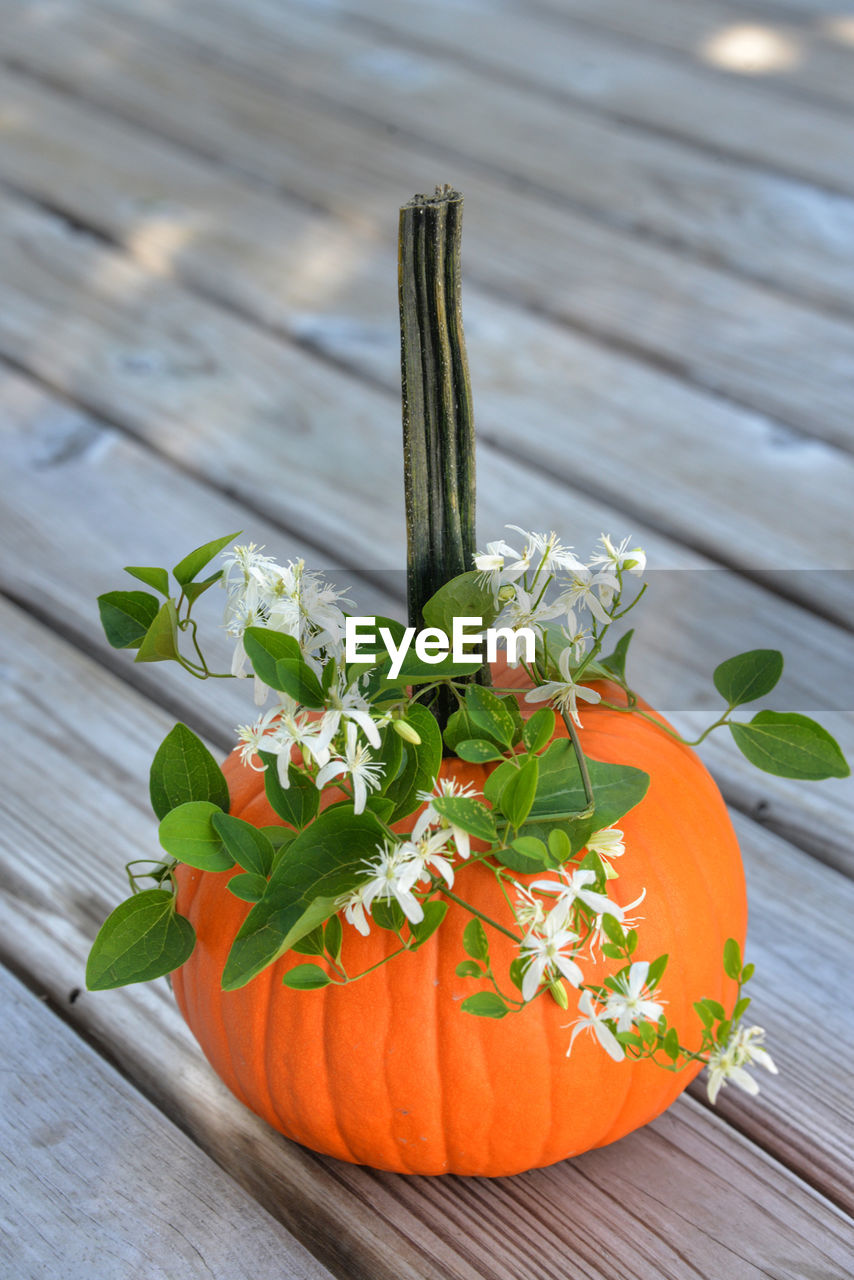 High angle view of pumpkin outside