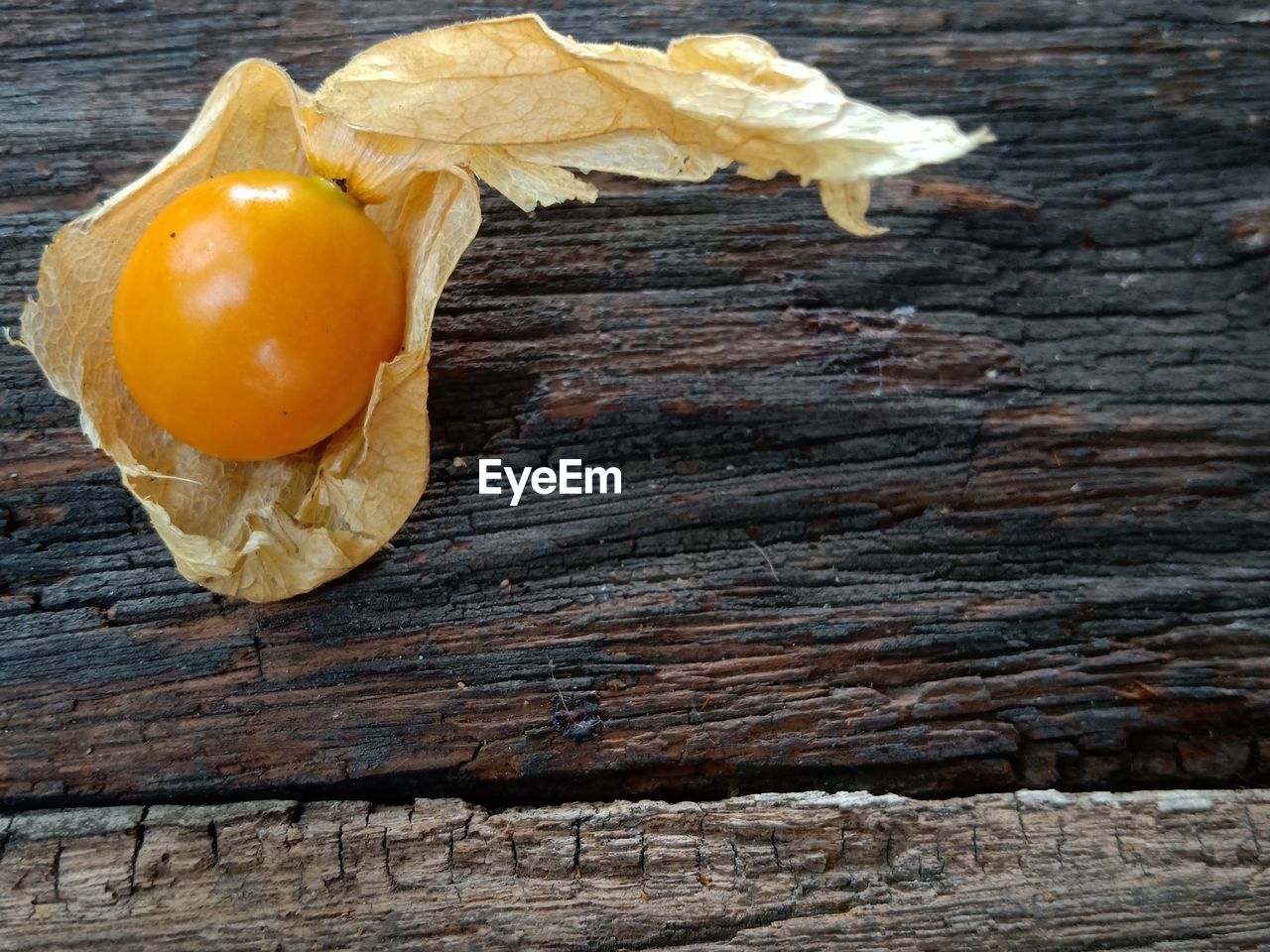 HIGH ANGLE VIEW OF LEMON ON TABLE